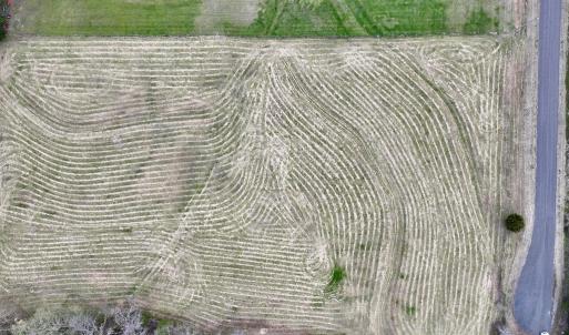 Photo #21 of SOLD property in Off Bessie Hicks Road, Norlina, NC 5.0 acres
