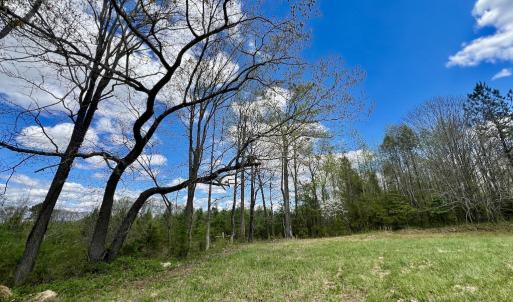 Photo #26 of SOLD property in Off Bessie Hicks Road, Norlina, NC 5.0 acres