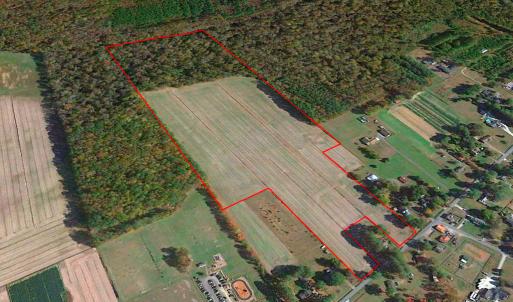 Photo #2 of Off Benefit Rd, Chesapeake, VA 40.0 acres