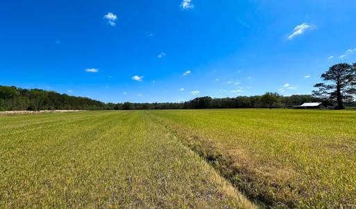 Photo #4 of Off Benefit Rd, Chesapeake, VA 40.0 acres