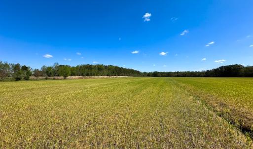 Photo #5 of Off Benefit Rd, Chesapeake, VA 40.0 acres
