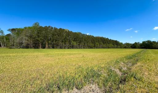 Photo #6 of Off Benefit Rd, Chesapeake, VA 40.0 acres