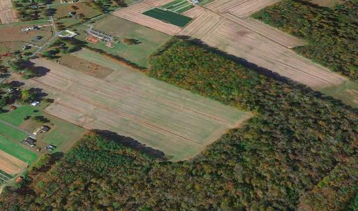 Photo #9 of Off Benefit Rd, Chesapeake, VA 40.0 acres