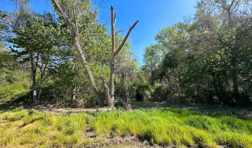 Photo #10 of Off Benefit Rd, Chesapeake, VA 40.0 acres