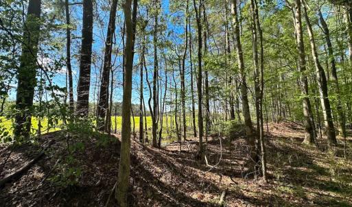 Photo #12 of Off Benefit Rd, Chesapeake, VA 40.0 acres