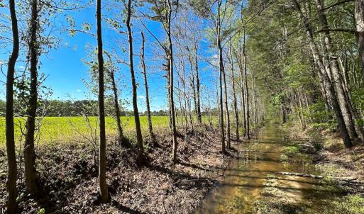 Photo #13 of Off Benefit Rd, Chesapeake, VA 40.0 acres