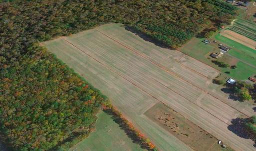 Photo #14 of Off Benefit Rd, Chesapeake, VA 40.0 acres