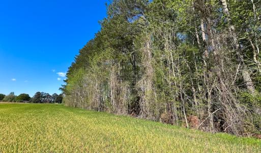 Photo #15 of Off Benefit Rd, Chesapeake, VA 40.0 acres