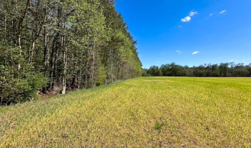 Photo #16 of Off Benefit Rd, Chesapeake, VA 40.0 acres