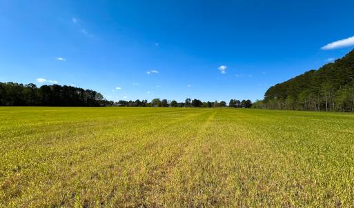 Photo #17 of Off Benefit Rd, Chesapeake, VA 40.0 acres