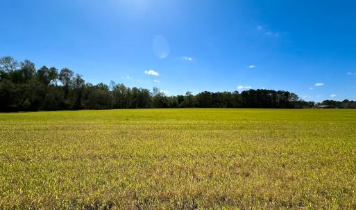 Photo #18 of Off Benefit Rd, Chesapeake, VA 40.0 acres