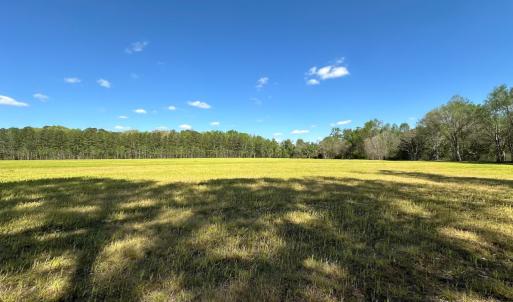 Photo #23 of Off Benefit Rd, Chesapeake, VA 40.0 acres