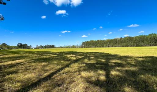 Photo #24 of Off Benefit Rd, Chesapeake, VA 40.0 acres