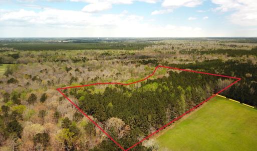 Photo #1 of Off Riverdale Dr, Franklin, VA 11.3 acres