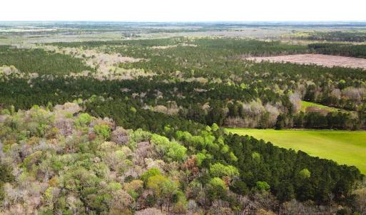 Photo #3 of Off Riverdale Dr, Franklin, VA 11.3 acres