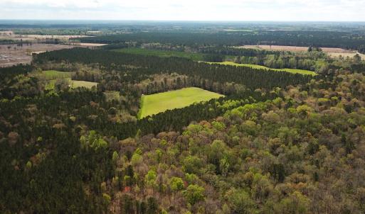 Photo #4 of Off Riverdale Dr, Franklin, VA 11.3 acres