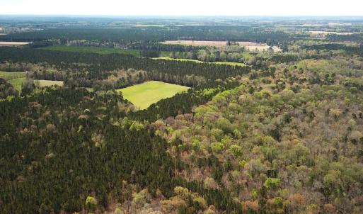 Photo #5 of Off Riverdale Dr, Franklin, VA 11.3 acres