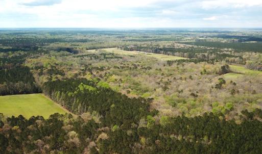 Photo #7 of Off Riverdale Dr, Franklin, VA 11.3 acres