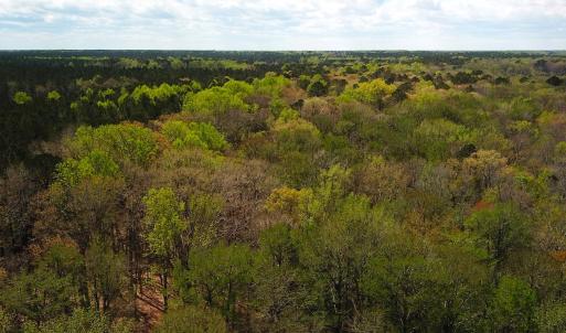 Photo #8 of Off Riverdale Dr, Franklin, VA 11.3 acres