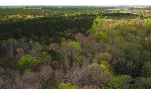 Photo #9 of Off Riverdale Dr, Franklin, VA 11.3 acres