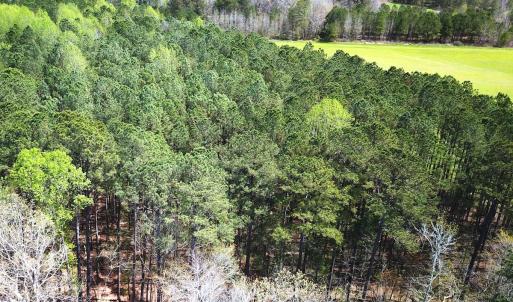 Photo #11 of Off Riverdale Dr, Franklin, VA 11.3 acres