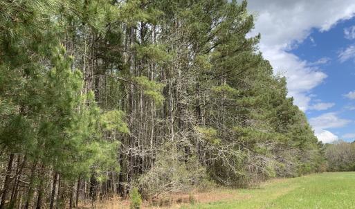 Photo #12 of Off Riverdale Dr, Franklin, VA 11.3 acres