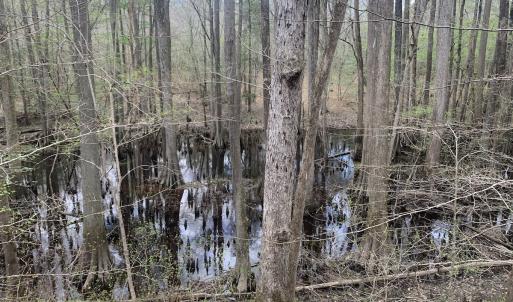 Photo #19 of Off Riverdale Dr, Franklin, VA 11.3 acres