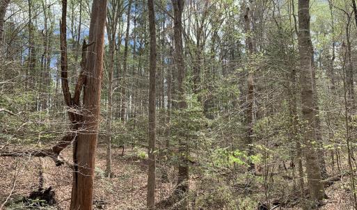 Photo #20 of Off Riverdale Dr, Franklin, VA 11.3 acres