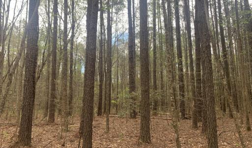 Photo #25 of Off Riverdale Dr, Franklin, VA 11.3 acres