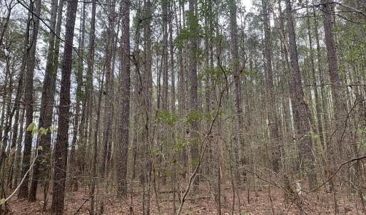 Photo #26 of Off Riverdale Dr, Franklin, VA 11.3 acres