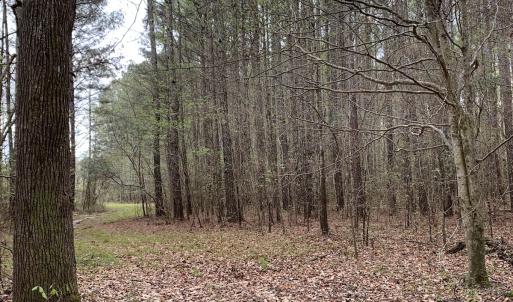 Photo #27 of Off Riverdale Dr, Franklin, VA 11.3 acres