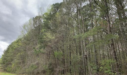 Photo #30 of Off Riverdale Dr, Franklin, VA 11.3 acres