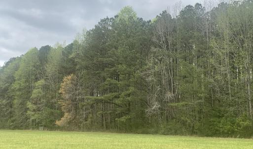 Photo #31 of Off Riverdale Dr, Franklin, VA 11.3 acres