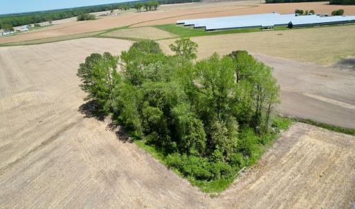 Photo #2 of SOLD property in Off Rockpile Rd, Ahoskie, NC 1.2 acres
