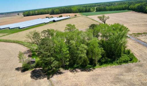 Photo #3 of SOLD property in Off Rockpile Rd, Ahoskie, NC 1.2 acres