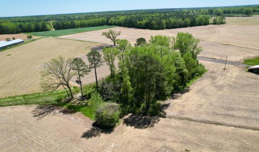 Photo #4 of SOLD property in Off Rockpile Rd, Ahoskie, NC 1.2 acres