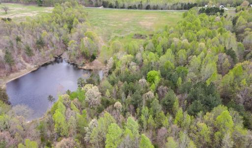Photo #19 of SOLD property in OFF Birch-Elmo Rd, South Boston, VA 20.0 acres
