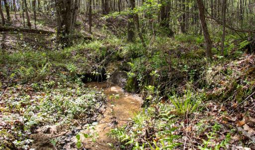 Photo #20 of SOLD property in OFF Birch-Elmo Rd, South Boston, VA 20.0 acres