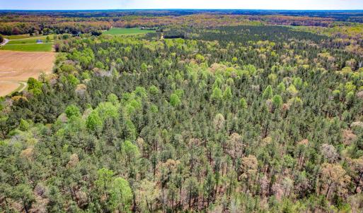 Photo #5 of SOLD property in Off Sparta Road, Milford, VA 30.7 acres