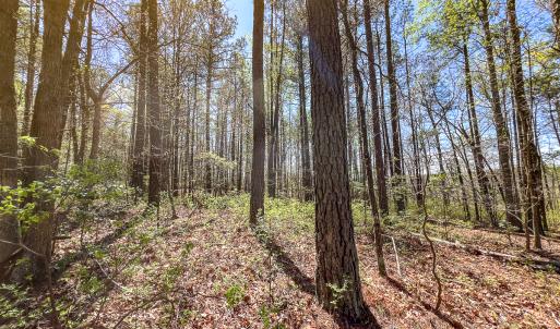 Photo #8 of SOLD property in Off Sparta Road, Milford, VA 30.7 acres