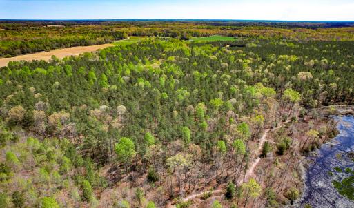 Photo #9 of SOLD property in Off Sparta Road, Milford, VA 30.7 acres
