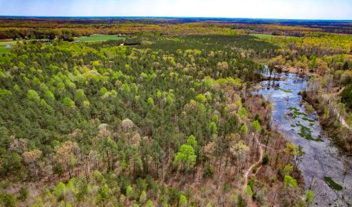 Photo #10 of SOLD property in Off Sparta Road, Milford, VA 30.7 acres