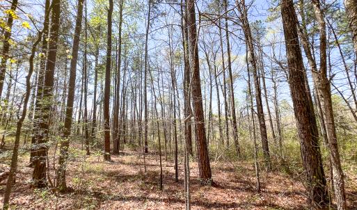 Photo #11 of SOLD property in Off Sparta Road, Milford, VA 30.7 acres