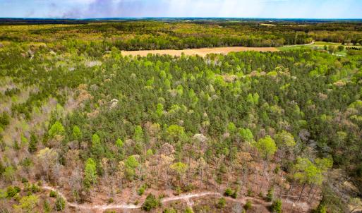 Photo #12 of SOLD property in Off Sparta Road, Milford, VA 30.7 acres