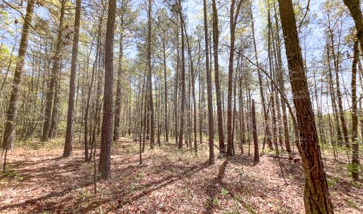 Photo #14 of SOLD property in Off Sparta Road, Milford, VA 30.7 acres
