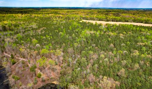 Photo #15 of SOLD property in Off Sparta Road, Milford, VA 30.7 acres