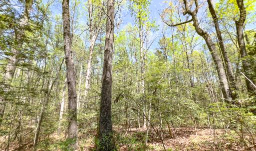 Photo #17 of SOLD property in Off Sparta Road, Milford, VA 30.7 acres