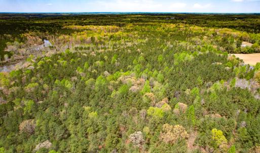 Photo #18 of SOLD property in Off Sparta Road, Milford, VA 30.7 acres