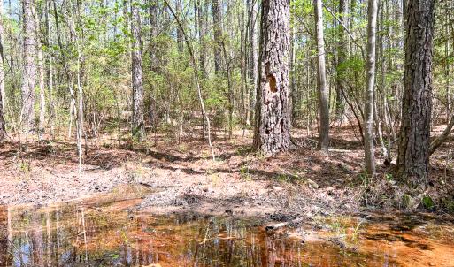 Photo #20 of SOLD property in Off Sparta Road, Milford, VA 30.7 acres