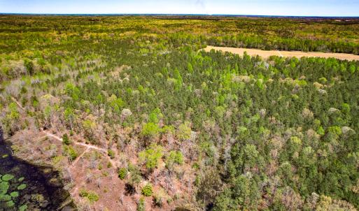 Photo #27 of SOLD property in Off Sparta Road, Milford, VA 30.7 acres